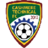 羊绒工业